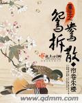 重生之鴛鴦拆散