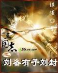 三國誌之劉備有子劉封