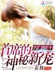 名門情鬥：首席的神秘新寵