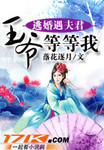 逃婚遇夫君：王爺等等我