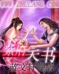 紫府天書